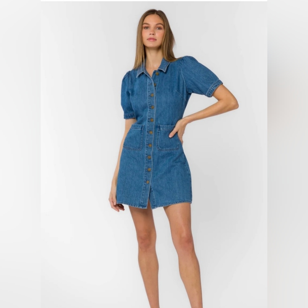Velvet Heart Romania Denim Dress